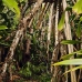 nusalavu_v_0705_0047.jpg